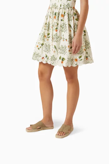 Priya Slides in Canvas