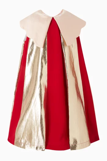 Candy Cane Trapeze Dress