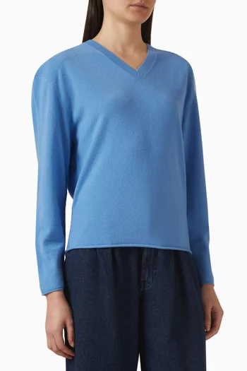V-neck Sweater in Merino Wool