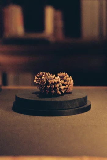 ماء عطر إل سوتوبوسكو