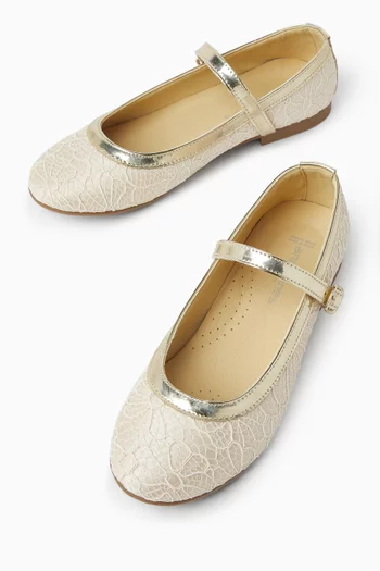 Embroidered Ballerina Flats