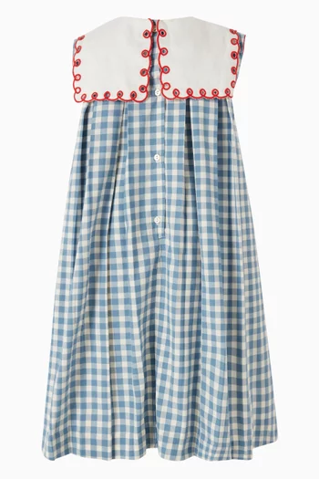 Darby Gingham Embroidered Dress in Cotton