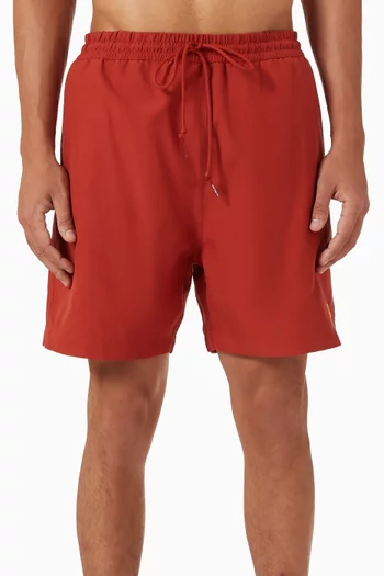 Chase Swim Shorts