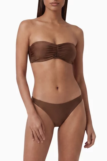 Most Wanted Bikini Briefs