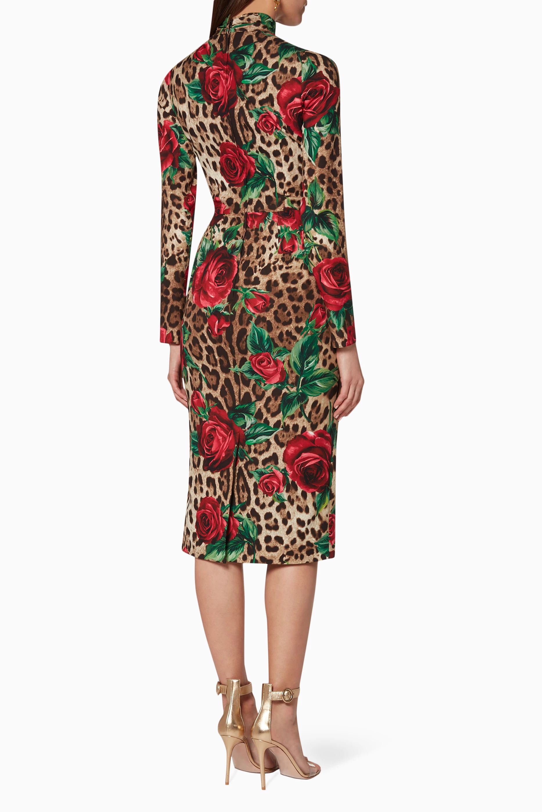 Dolce and gabbana leopard and 2024 rose dress