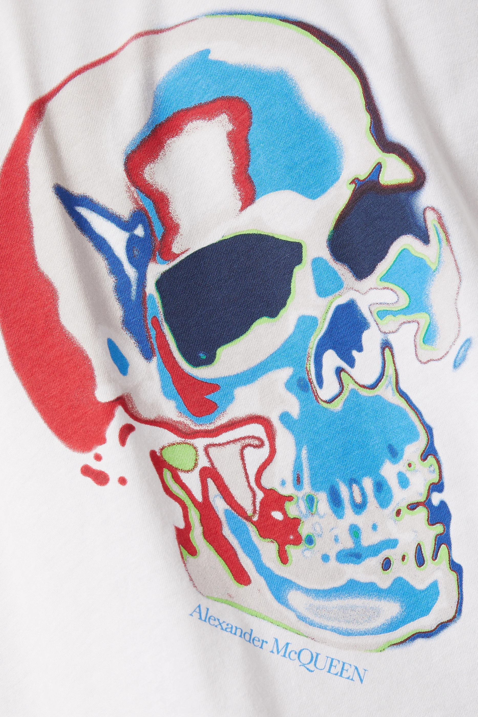 Alexander McQueen Skull design  Skull tshirt, Skull painting