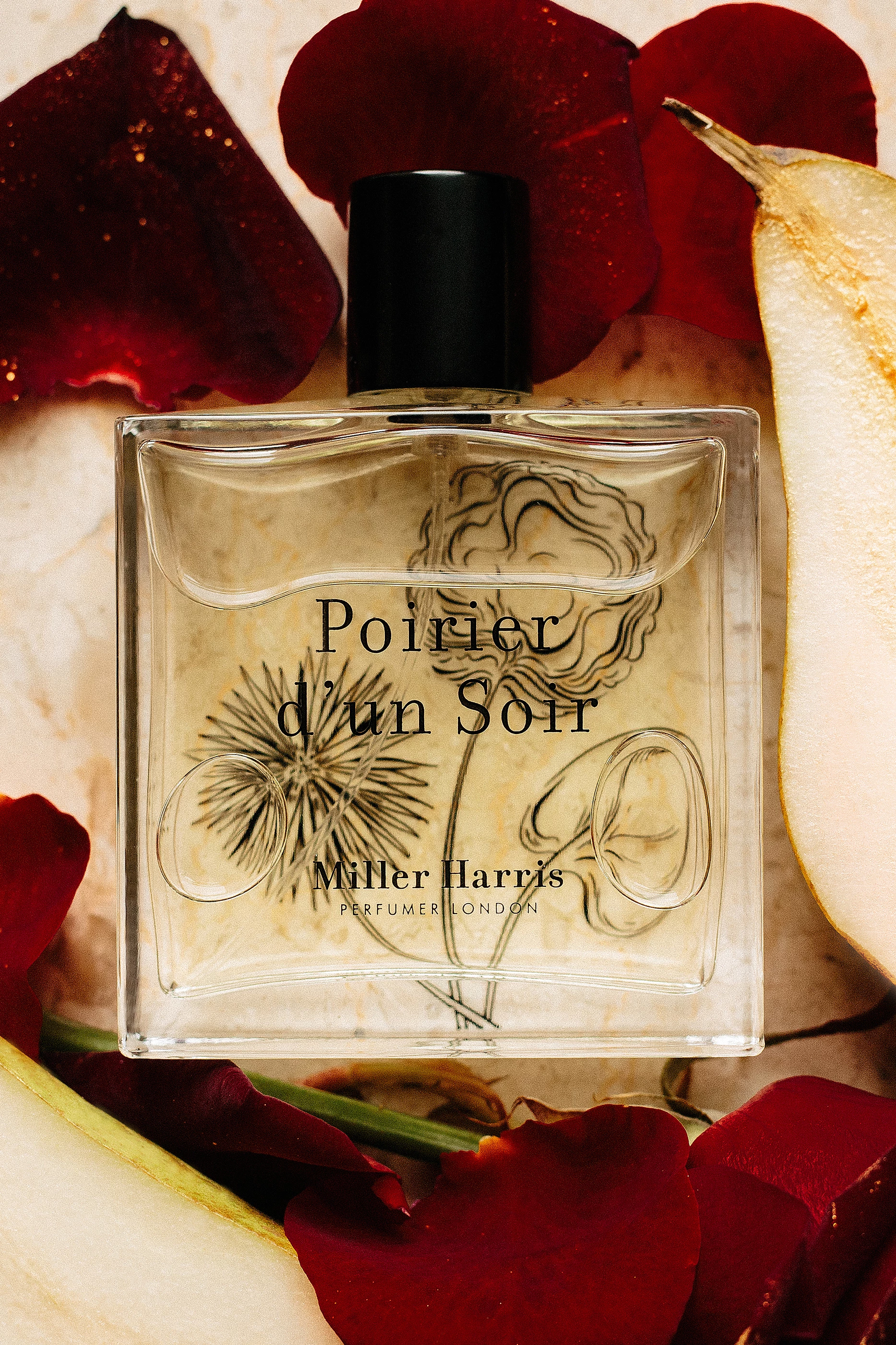 Buy Miller Harris Poirier d