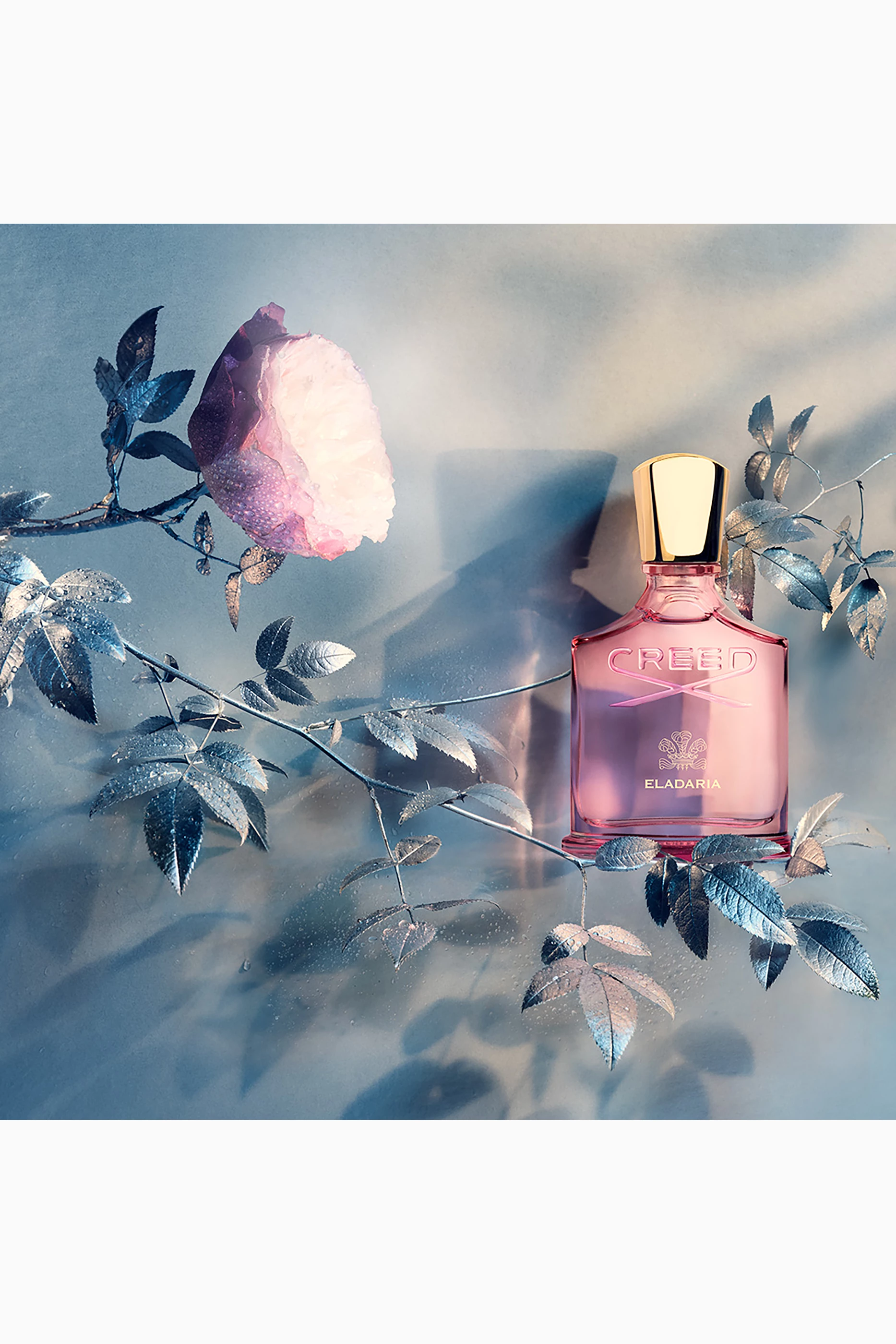 [国内正規品] CREED ELADARIA 75ml Creed Eladaria EDP 2.5oz 75ml for Women Authentic #F003688