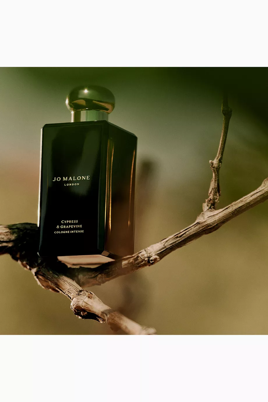 香水(ユニセックス) JO MALONE LONDON Cypress &Grapevine Cypress & Grapevine Cologne Intense | Jo Malone London