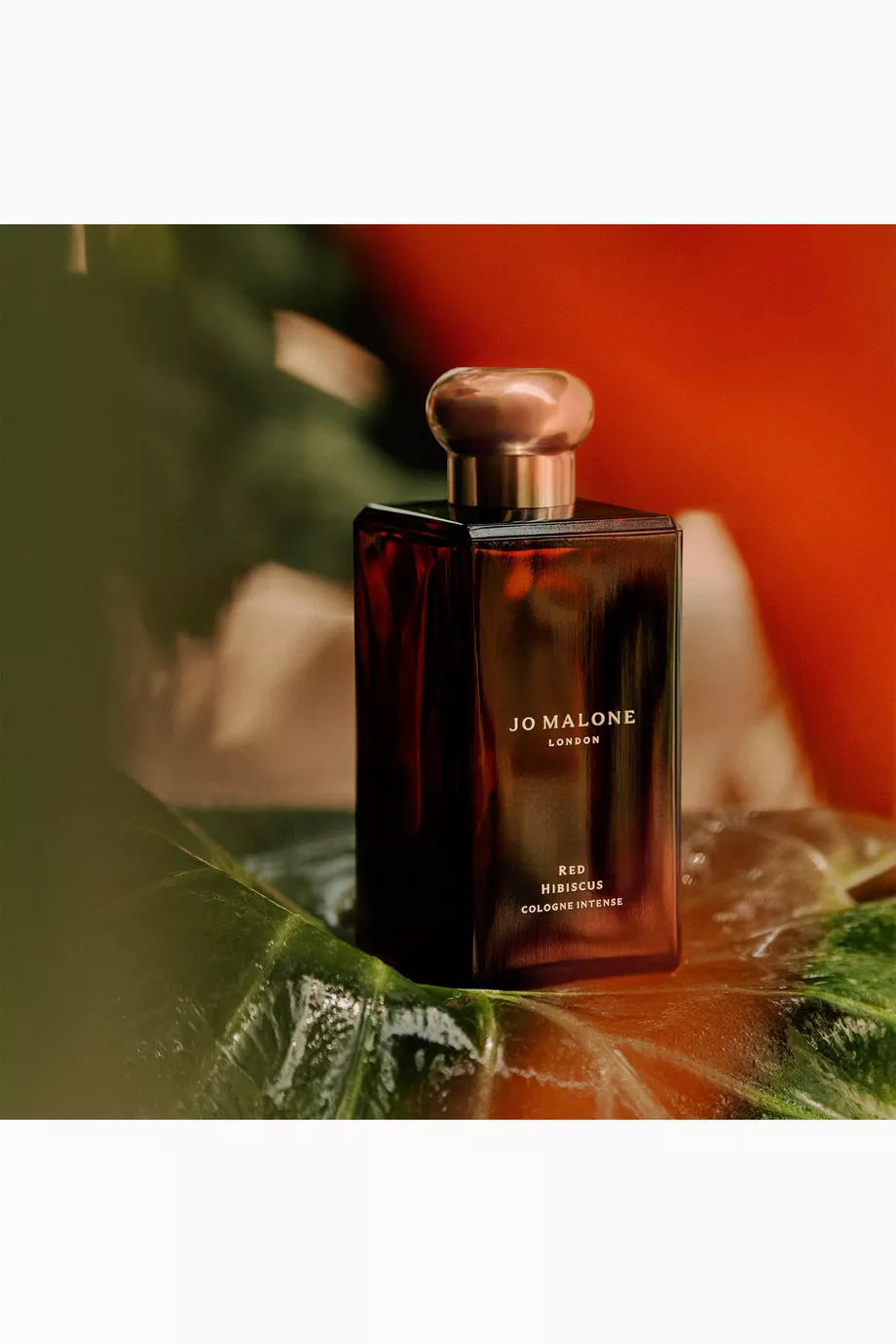 Buy Jo Malone London Red Hibiscus Cologne Intense, 100ml for