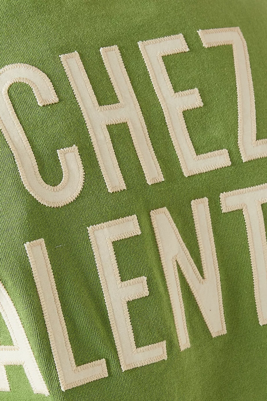 Buy Valentino Garavani Green Panther Lady-print T-shirt in